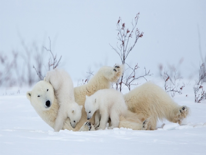 南京中信试管待审核（试管病例请假流程）