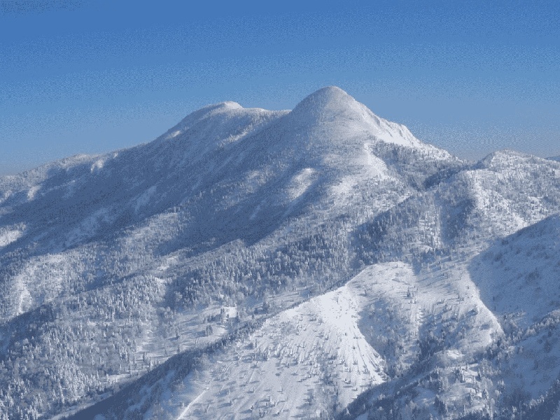 南京哪可以代怀,南京人工授精费用到武总地址（中泌试管院长）