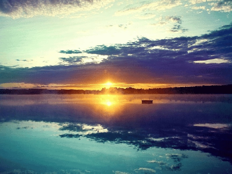 少精治疗费用（试管前期能吃乌鱼）